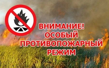На территории Нижегородской области продолжает действовать особый противопожарный режим