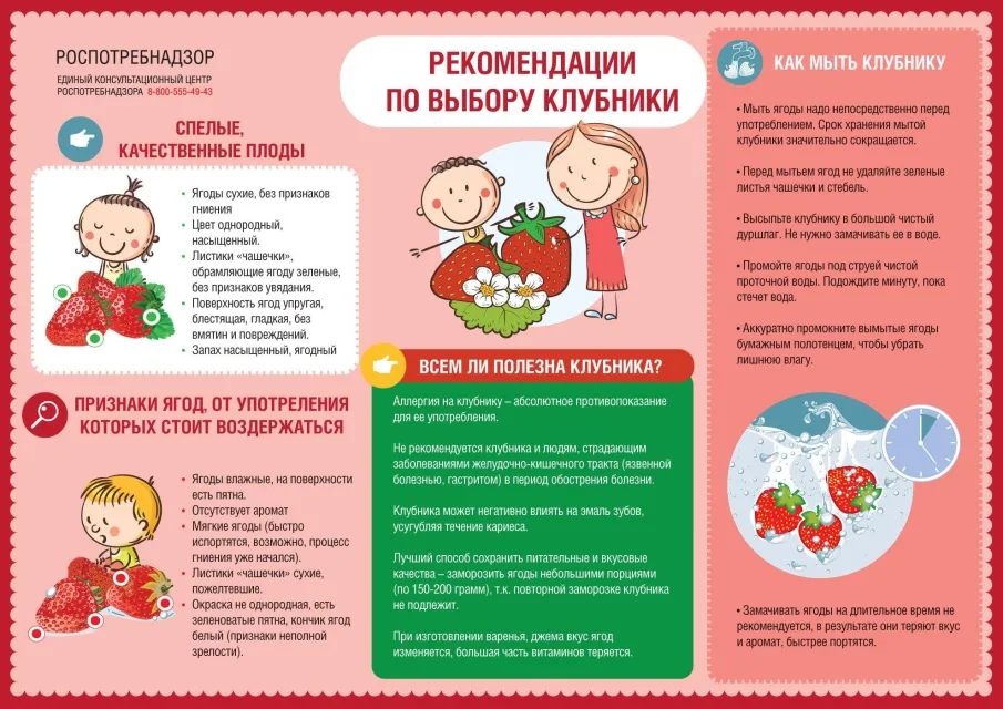 Роспотребнадзор делится информацией, как правильно выбрать клубнику
