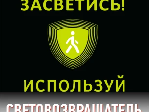 Месячник по безопасности дорожного движения «Засветись!»