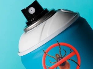 Средства от клещей - какими они бывают?