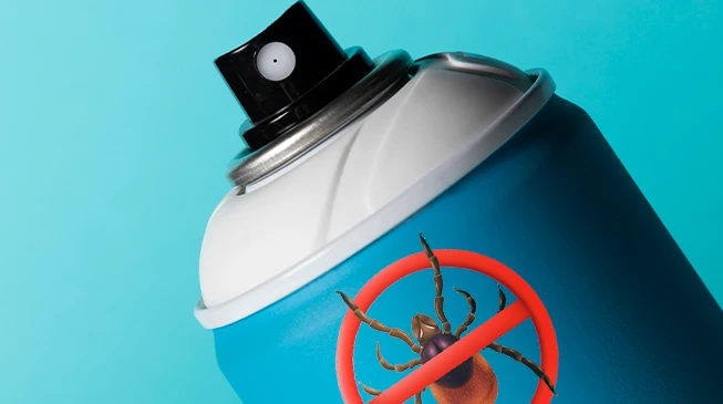 Средства от клещей - какими они бывают?