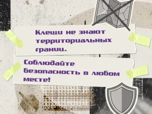 Выезжая на природу с семьёй или друзьями, нужно знать, как обезопасить себя и детей от укусов клещей