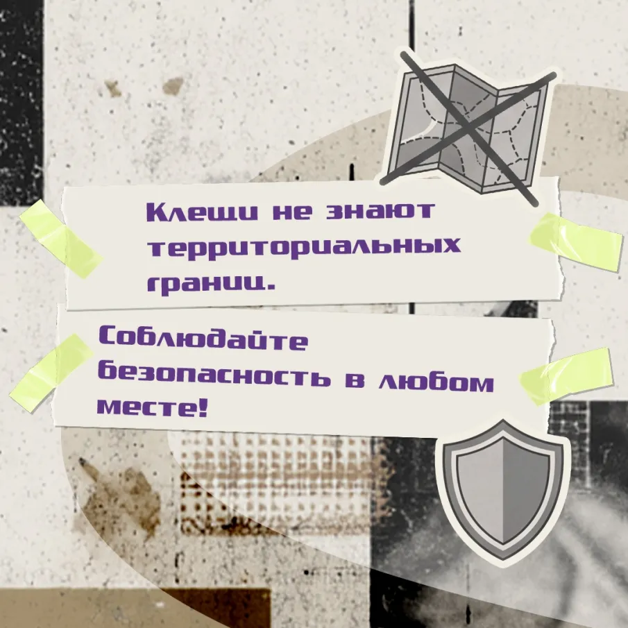 Выезжая на природу с семьёй или друзьями, нужно знать, как обезопасить себя и детей от укусов клещей