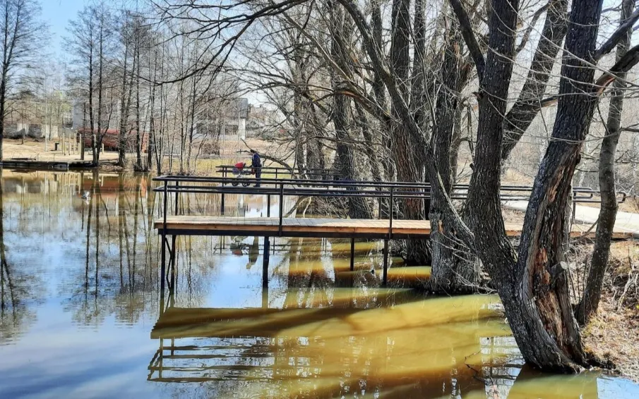 Пляж на пруду «408 км»: перезагрузка