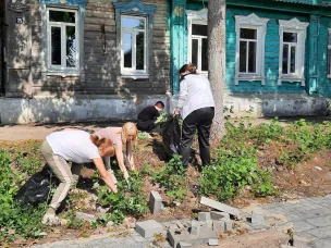 Что будет расти на ул.К. Маркса?