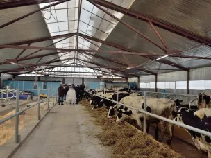 В городском округе город Арзамас открыли первую роботизированную ферму