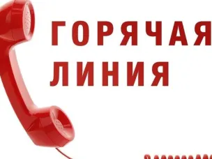 «Горячая линия» по вопросам исполнения законодательства об охране и использовании лесов
