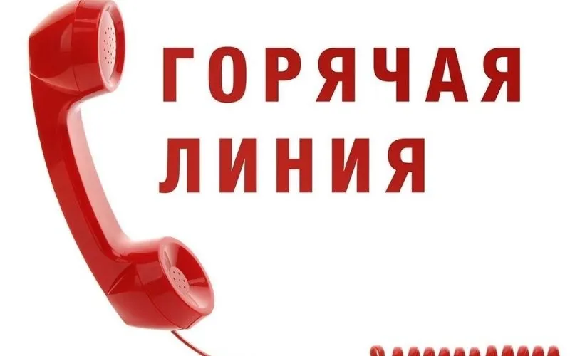 «Горячая линия» по вопросам исполнения законодательства об охране и использовании лесов