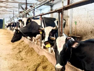 Село зовет: 2 млн на жилье молодым работникам АПК