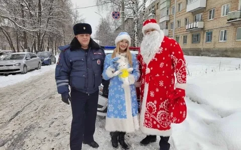 Арзамасские госавтоинспекторы присоединились к акции «Полицейский Дед Мороз»