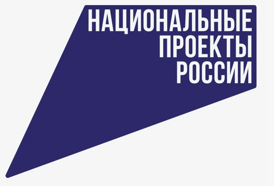 Национальные проекты России