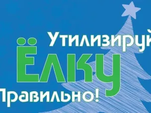 В Арзамасе стартует экологическая акция по правильной утилизации новогодних елок