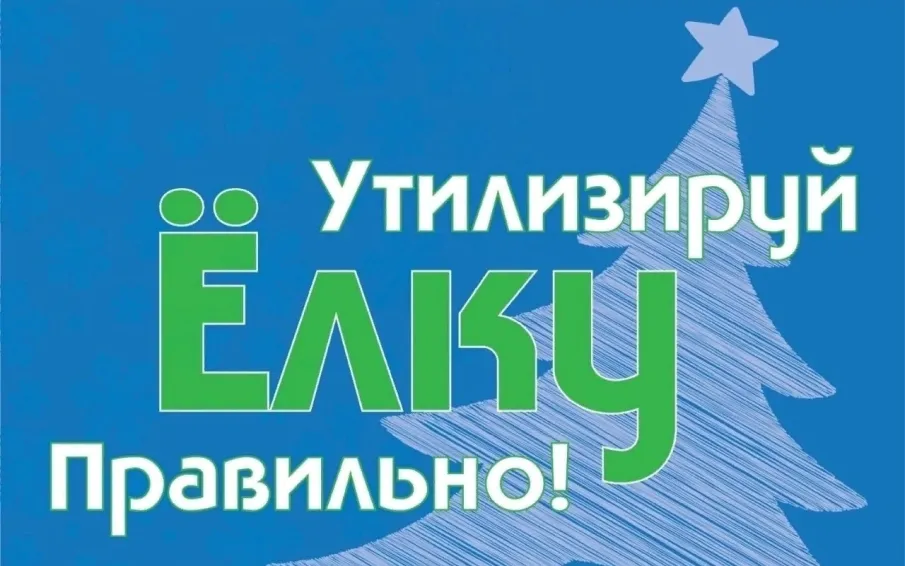В Арзамасе стартует экологическая акция по правильной утилизации новогодних елок