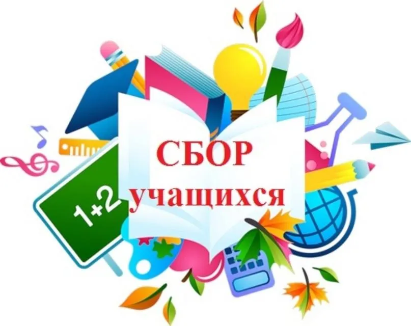 Контрольный сбор – 30 августа