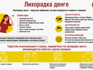 Лихорадка Денге: что нужно знать перед поездкой