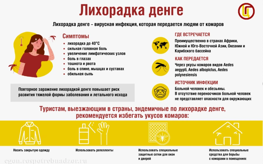 Лихорадка Денге: что нужно знать перед поездкой