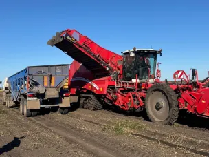 Уборочная кампания на арзамасских полях на финальной прямой