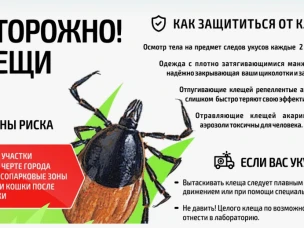 Как защититься от клещей весной