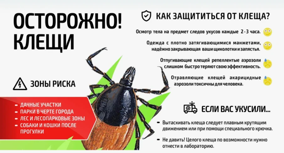 Как защититься от клещей весной