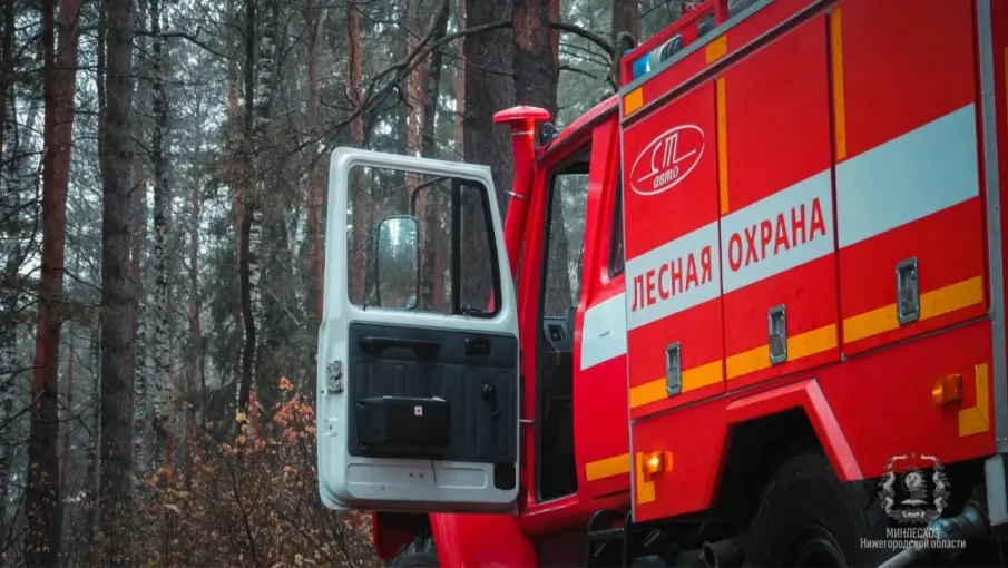 В лесах Арзамасского округа с 4 апреля начинается пожароопасный сезон
