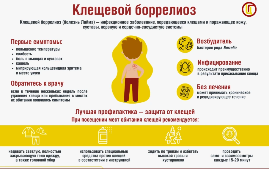 Что такое клещевой боррелиоз