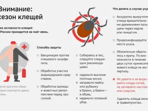 Клещевой вирусный энцефалит и меры его профилактики
