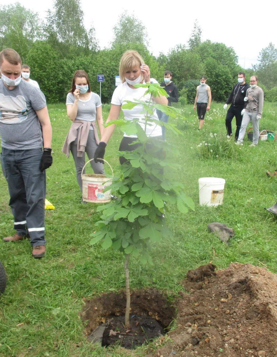 Сегодня последний день голосования «Формирование комфортной городской среды»