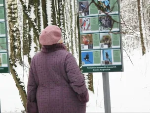 В лесопарке 11 микрорайона появились информационные стенды