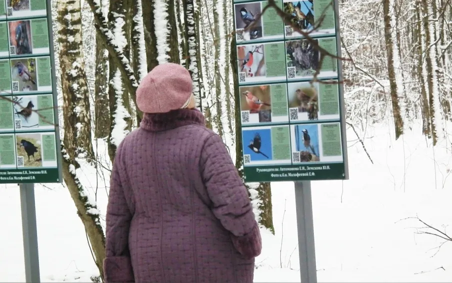 В лесопарке 11 микрорайона появились информационные стенды