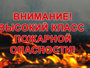 Ожидается высокая (4 класс) пожароопасность лесов и торфяников
