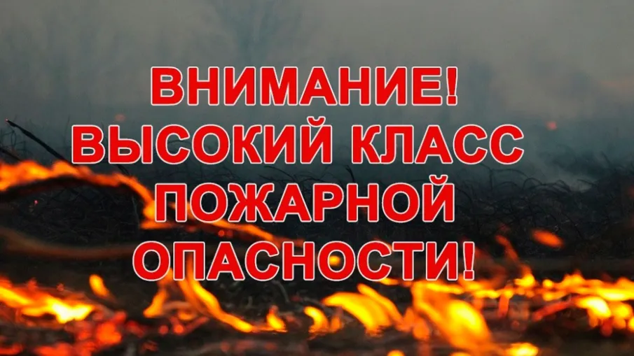 Ожидается высокая (4 класс) пожароопасность лесов и торфяников